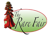 Rare Fair